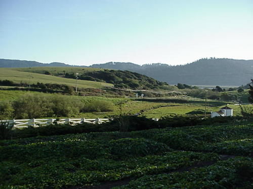Point Reyes Vineyard Inn California City Kültér fotó