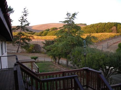 Point Reyes Vineyard Inn California City Kültér fotó